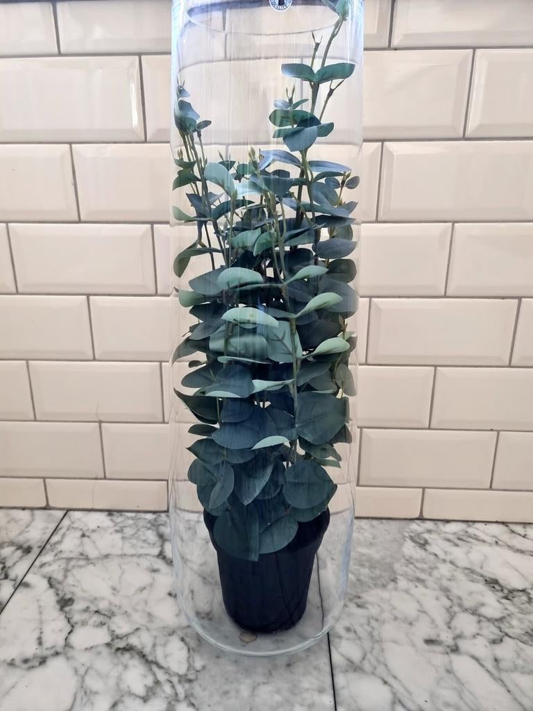 Ikea berakna vaas 65 cm, Ophalen, Overige kleuren, 50 tot 75 cm, Glas