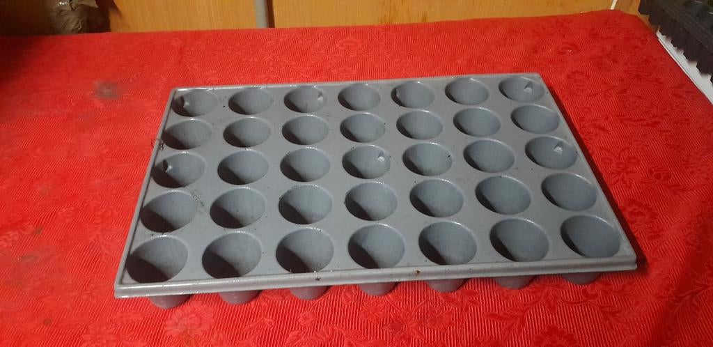 Kweektrays / Zaaitrays - 6x6 cm, Tuin en Terras, Ophalen of Verzenden, Nieuw