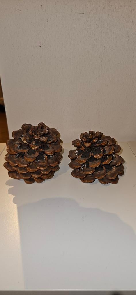 2 grotere sier dennenappels voor maar € 2,50 samen, Ophalen of Verzenden, Gebruikt