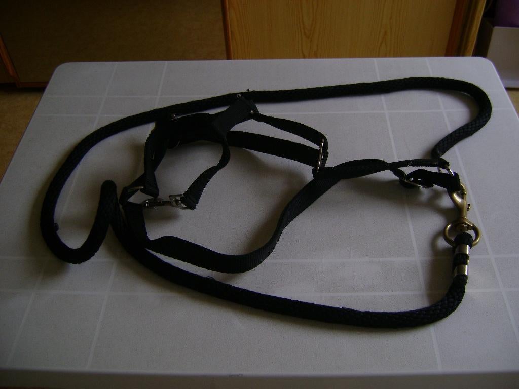 zwarte verstelbare pony paarden teugels, Ophalen of Verzenden, Zo goed als nieuw, Recreatie