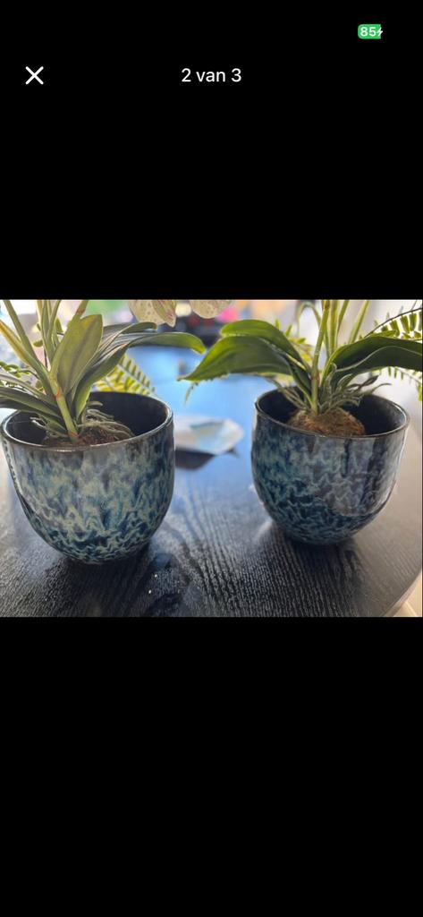 Nepbloemen met vazen, zo goed als nieuw, Huis en Inrichting, Woonaccessoires | Vazen, Ophalen, Overige kleuren, 50 tot 75 cm, Aardewerk of Porselein