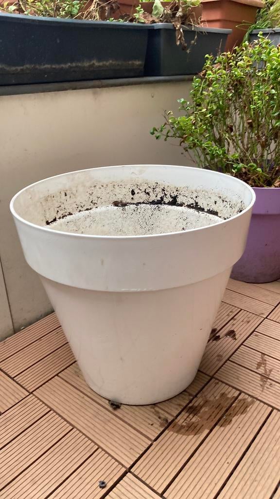 Grote witte Elho Bloempot, Ophalen, Kunststof, Gebruikt, Minder dan 60 cm