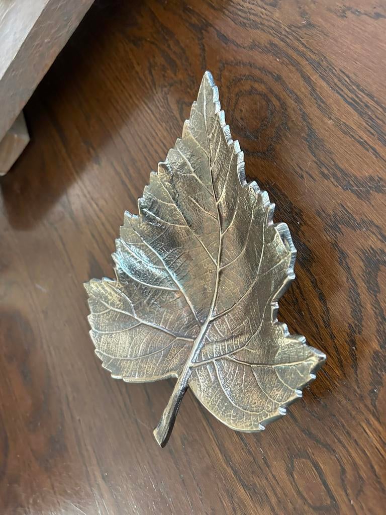 Mooi ikzer blad nieuw, Ophalen of Verzenden, Zo goed als nieuw