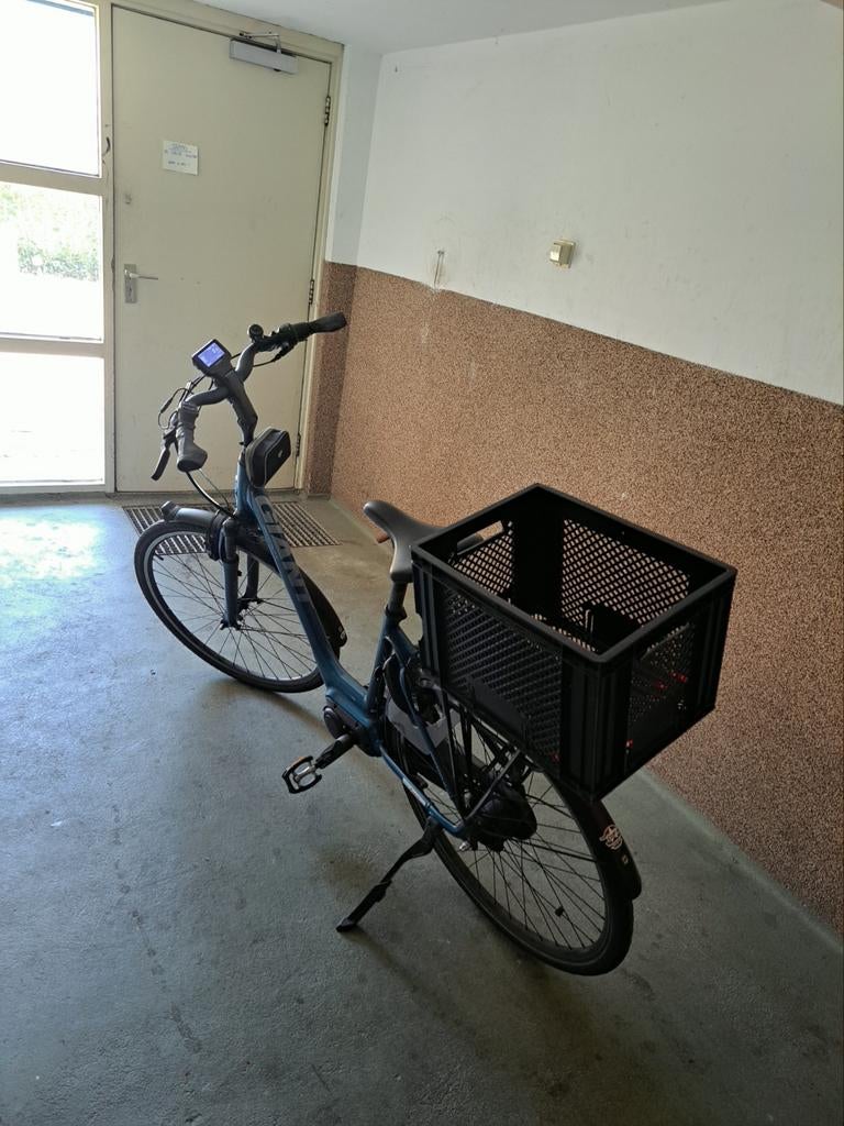 Elektrische Giant, Ophalen of Verzenden, Overige merken