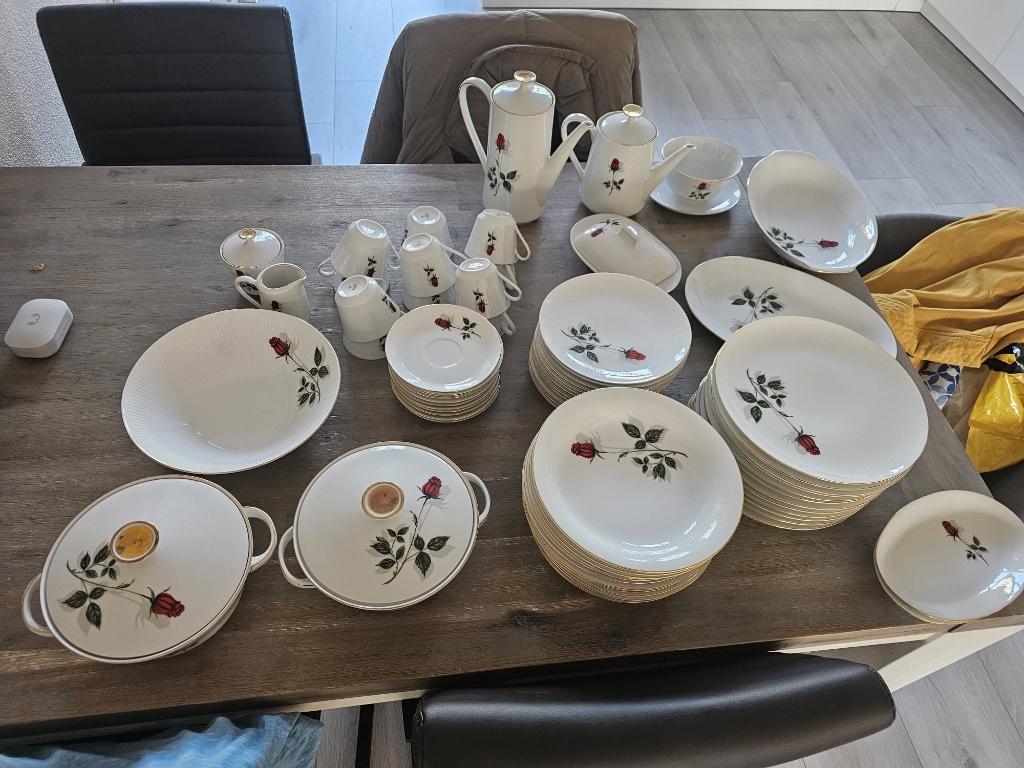 Tekoop: mooi vintage servies. Merk: Mitterteich Batavia, Ophalen