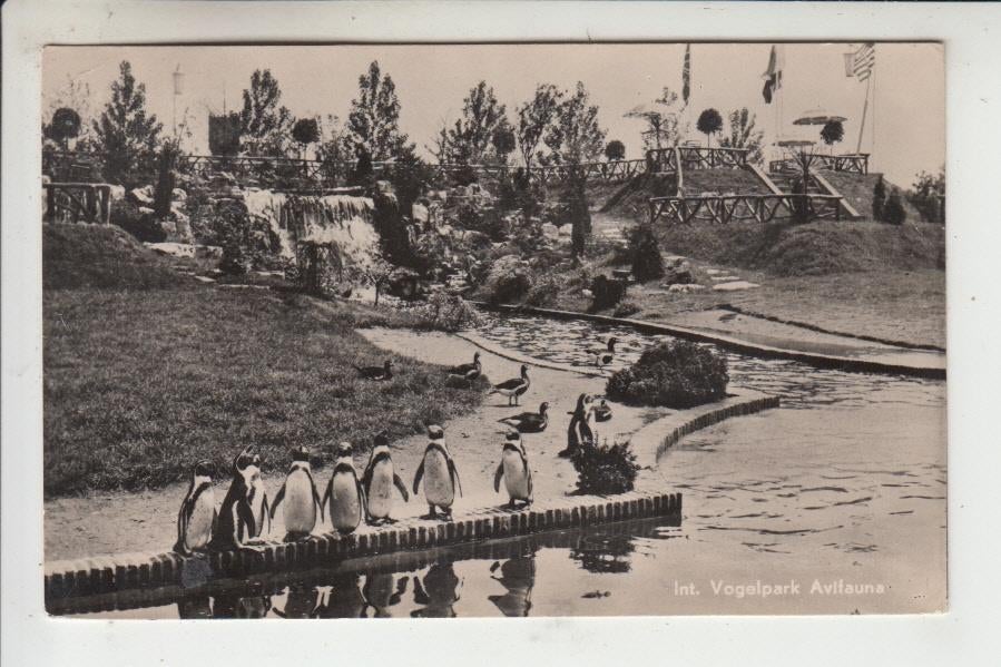 Alphen aan de Rijn, Vogelpark Avifauna 91, Ophalen of Verzenden, 1940 tot 1960, Gelopen, Zuid-Holland