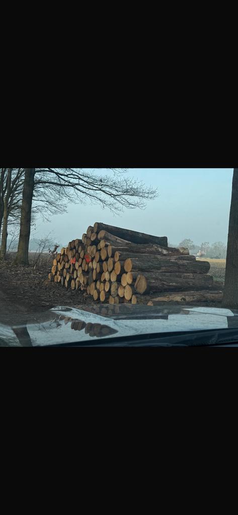 Mooie vracht stammen, Amerikaanse Eik, Tuin en Terras, Haardhout, 6 m³ of meer, Ophalen of Verzenden