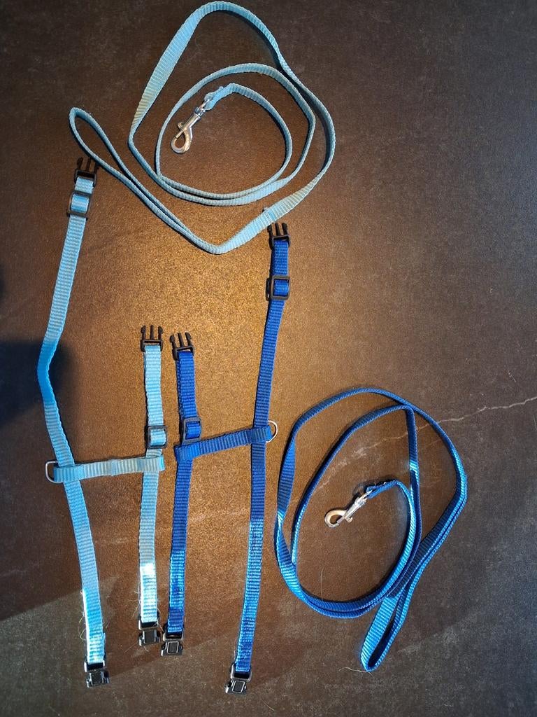 Kitten katten tuigjes 2 stuks, Dieren en Toebehoren, Katten-accessoires, Ophalen