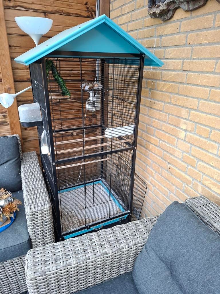 Vogelkooi inclusief vogels, Ophalen, Metaal, Vogelkooi