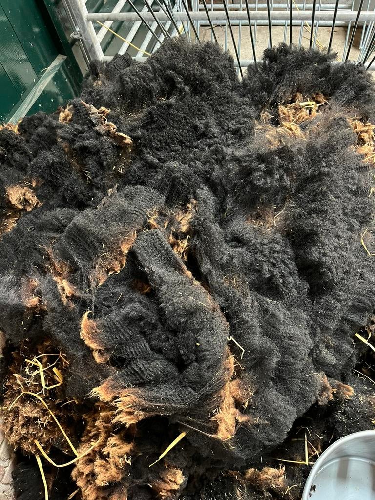 Wol van Zwartbles schapen, Dieren en Toebehoren, Schapen, Geiten en Varkens