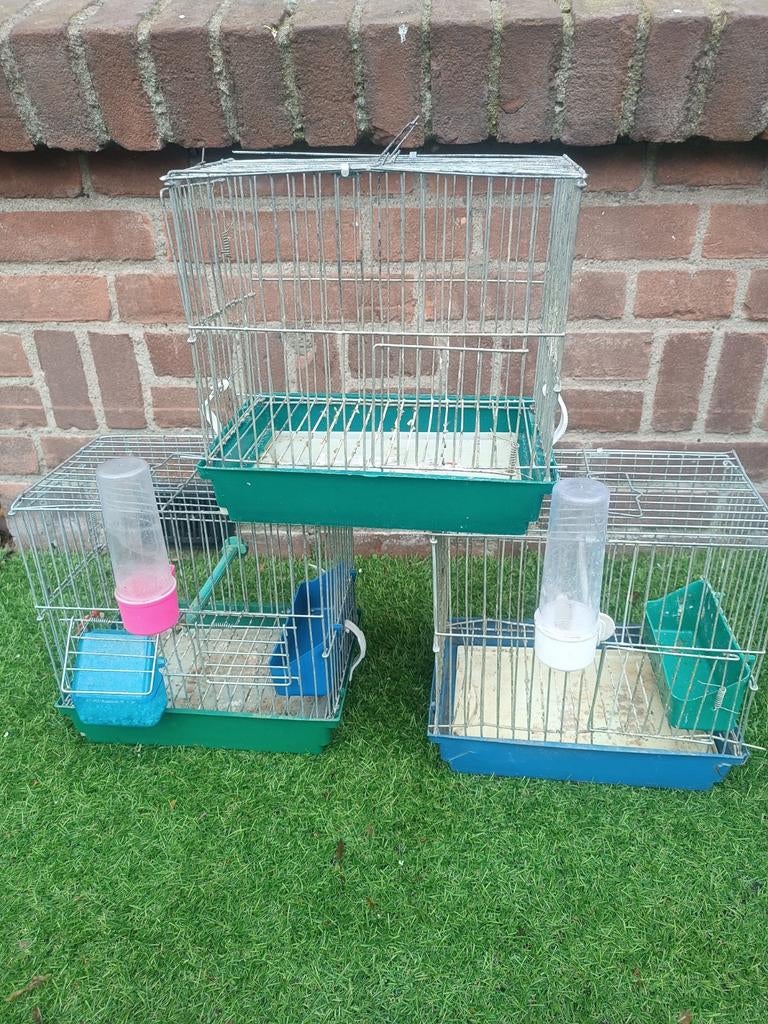 Vogels kooi, Dieren en Toebehoren, Ophalen, Hout, Vogelkooi