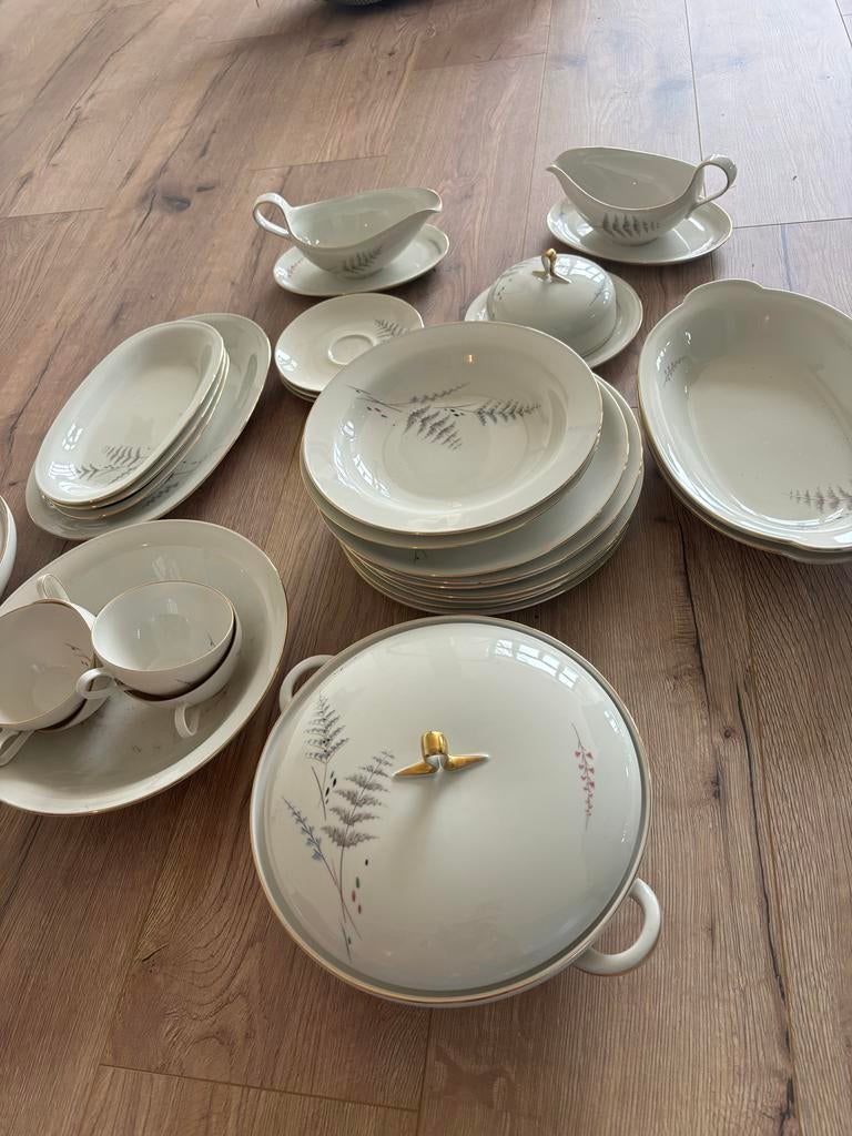 Eschenbach servies, diverse onderdelen, Ophalen, Gebruikt, Overige stijlen, Porselein