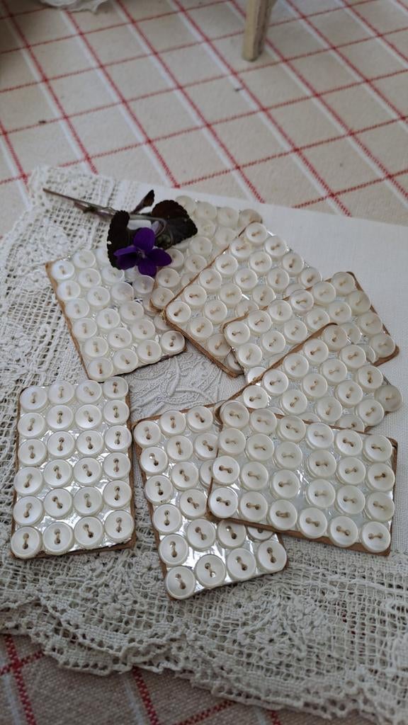 Miniknoopjes voor poppenkleding parelmoer 0,6 cm 24 st, Verzenden, Overig