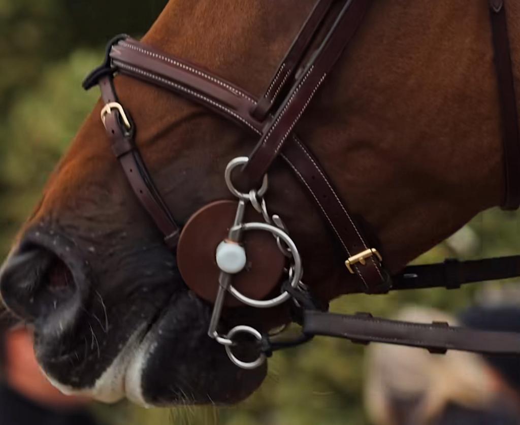 Gloed nieuw beris bit pelham, Dieren en Toebehoren, Ophalen of Verzenden, Nieuw, Dressuur