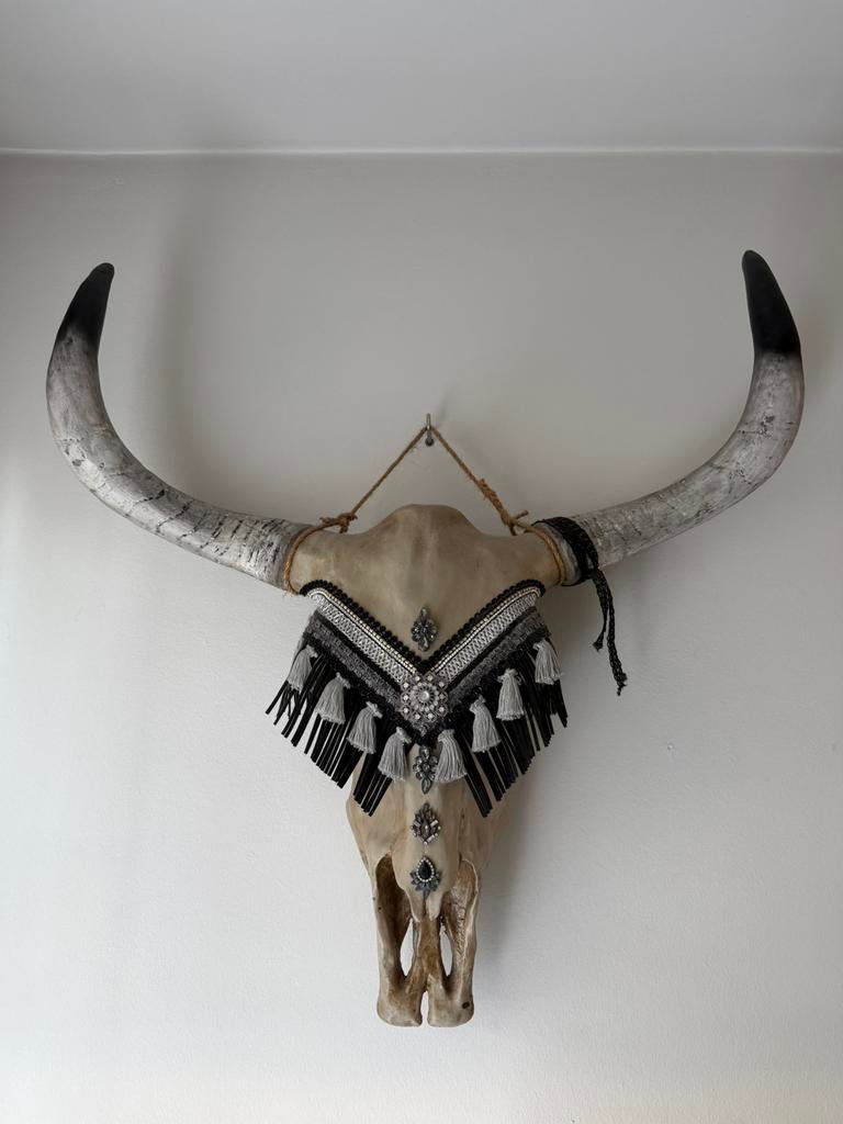 Schedel wanddecoratie, Ophalen of Verzenden, Zo goed als nieuw