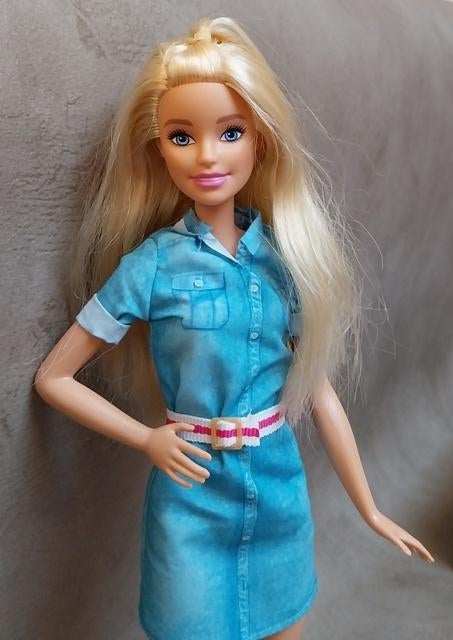 Barbie Dreamhouse Adventure pop, Ophalen of Verzenden, Zo goed als nieuw, Barbie
