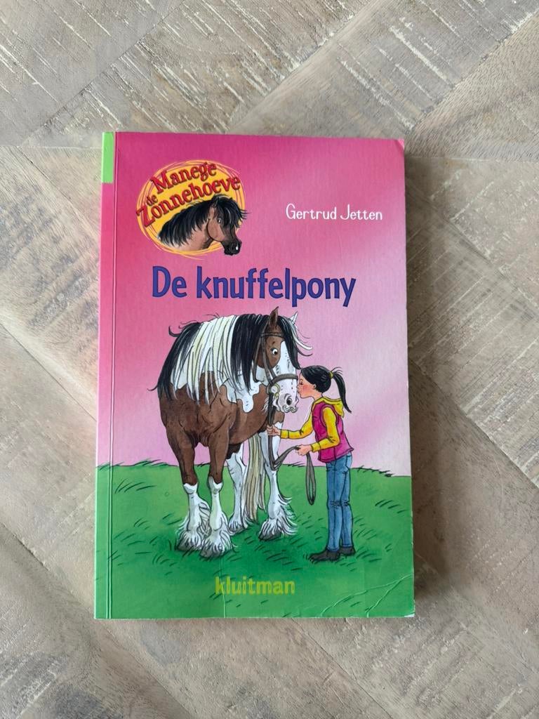 De knuffelpony - Gertrud Jetten, Boeken, Ophalen of Verzenden, Gelezen, Fictie algemeen