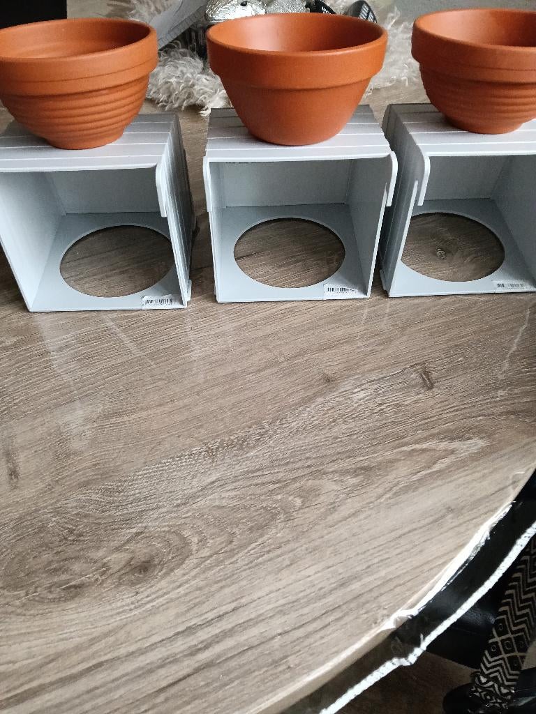 Tka broedkastjes voor kanaries, Meerdere dieren, Kleurkanarie