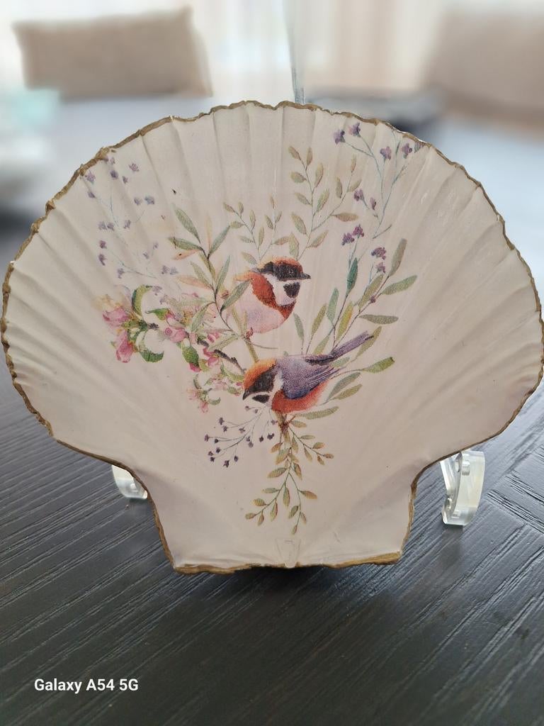 Grote Sint Jacobsschelp, Ophalen of Verzenden, Nieuw