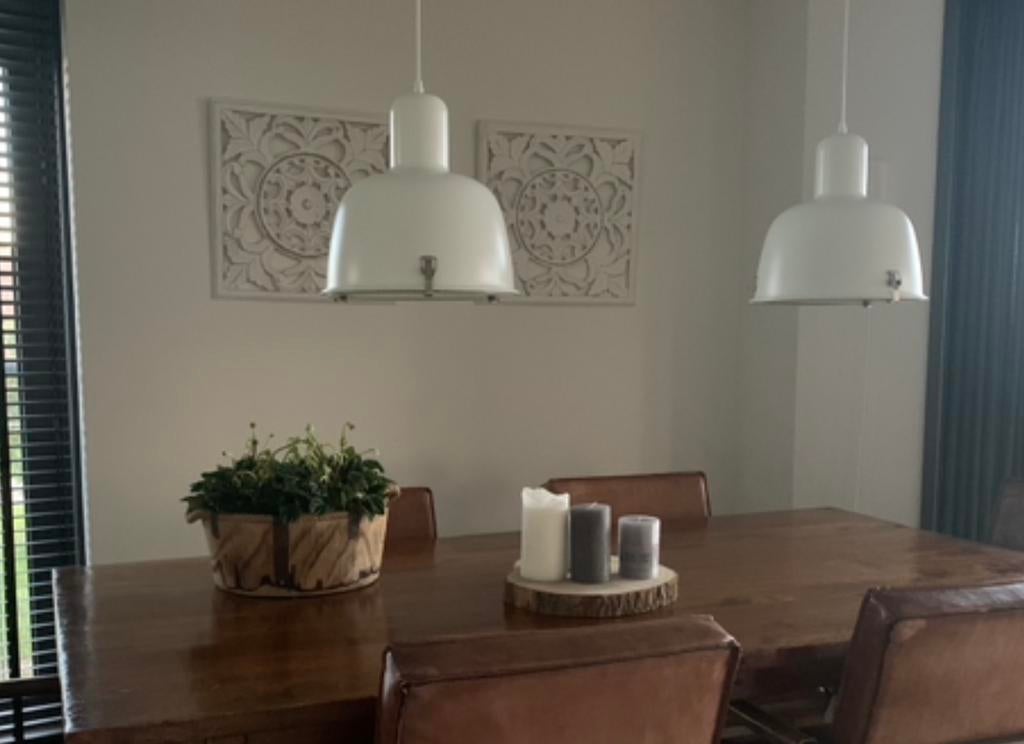 Hanglamp, Huis en Inrichting, Lampen | Hanglampen, Ophalen of Verzenden, Zo goed als nieuw, Metaal, Minder dan 50 cm