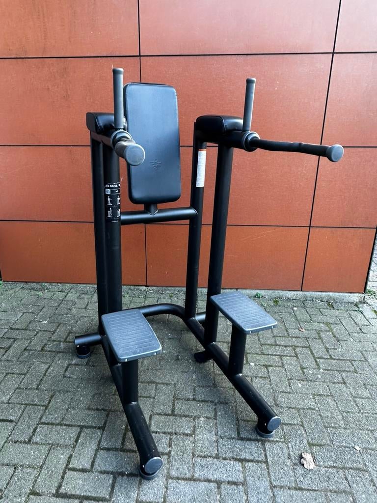 Technogym Leg Raise / Dip Station, Ophalen, Gebruikt, Overige typen