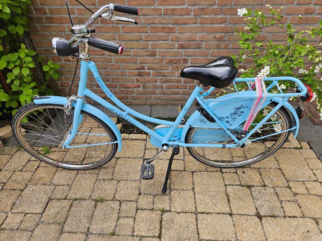 Meisjes Kinderfiets 24" Gazelle, Ophalen, Gezelle, Handrem, Gebruikt
