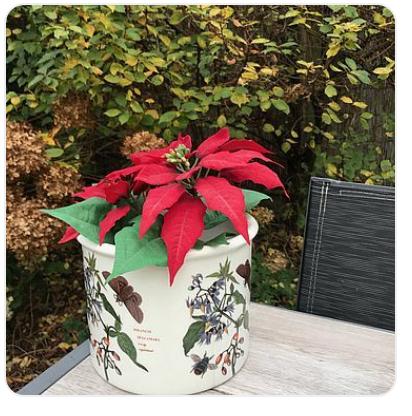 bloempot, Rond, Ophalen of Verzenden, Aardewerk, Minder dan 40 cm