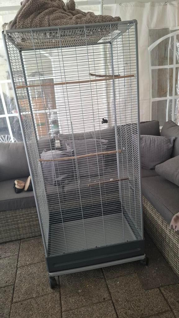 Voilere, Ophalen of Verzenden, Hout, Vogelkooi