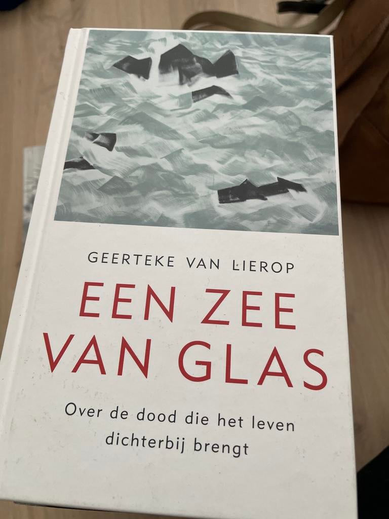 Een Zee Van Glas - Geerteke van Lierop, Ophalen of Verzenden, Gelezen, Nederland
