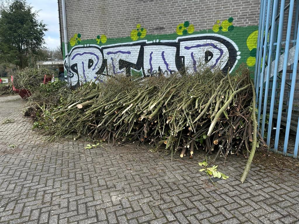 Verse takken voor brandhout of tuindecoratie, Tuin en Terras, Haardhout, 3 tot 6 m³, Ophalen, Overige houtsoorten, Takken