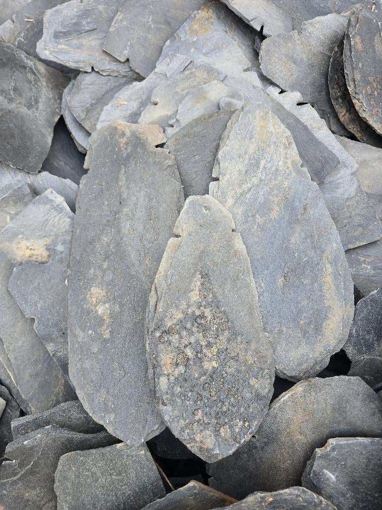 Leijen dakpannen, Ophalen, Gebruikt, Steen of Klei, 15 m² of meer