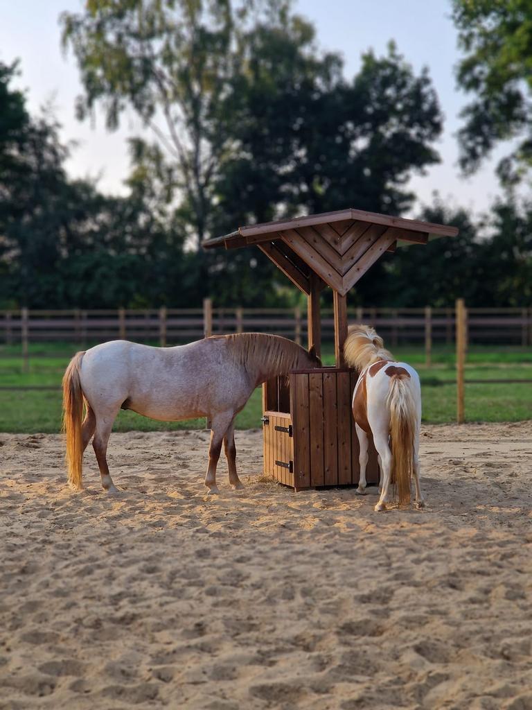 ❗️korting❗️Hooihuizen hooibak slowfeeder hooiruif, Dieren en Toebehoren