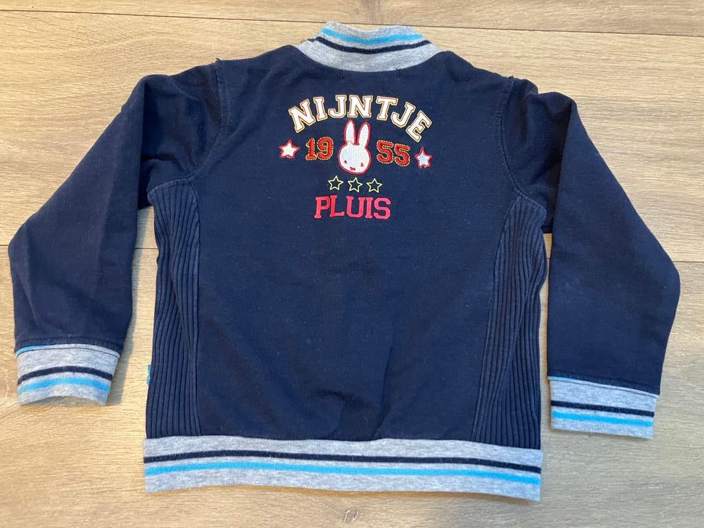 Vest Nijntje maat 80 zgan, Kinderen en Baby's, Babykleding | Maat 80, Nijntje, Ophalen of Verzenden, Zo goed als nieuw, Truitje of Vestje