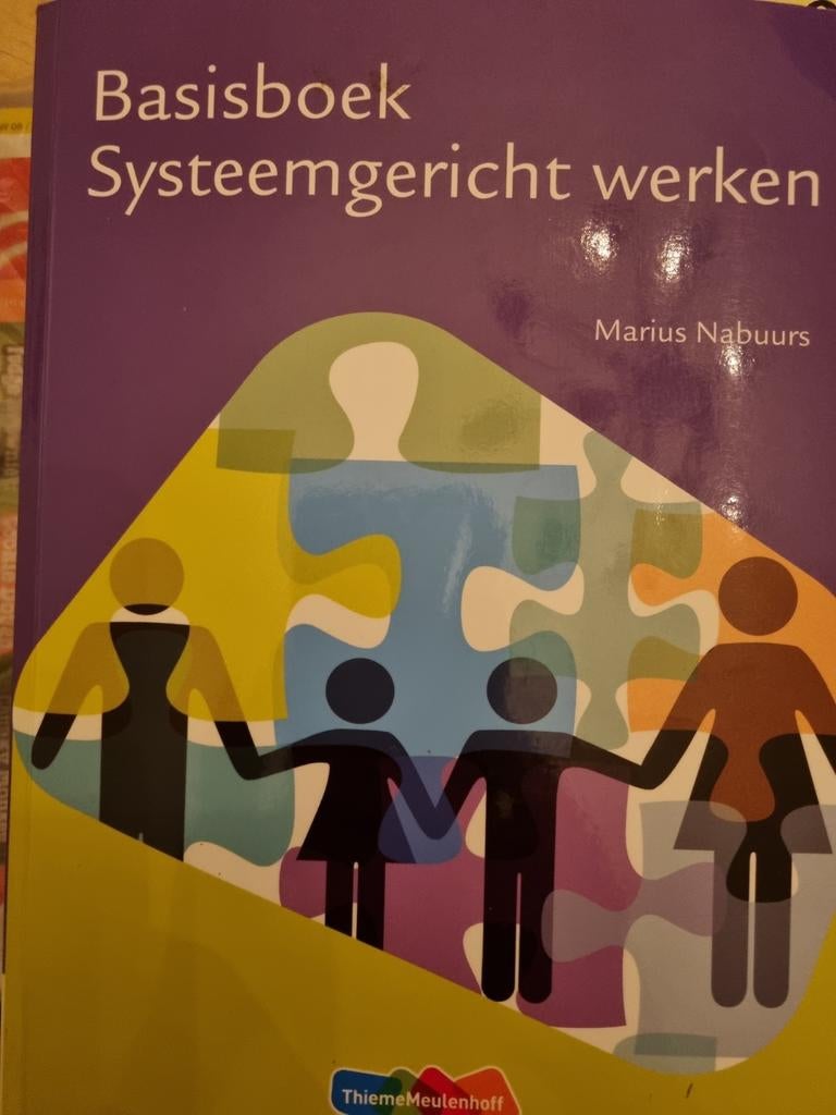 Basisboek Systeemgericht werken - Goede staat, Ophalen of Verzenden, Gelezen, HBO, Marius Nabuurs