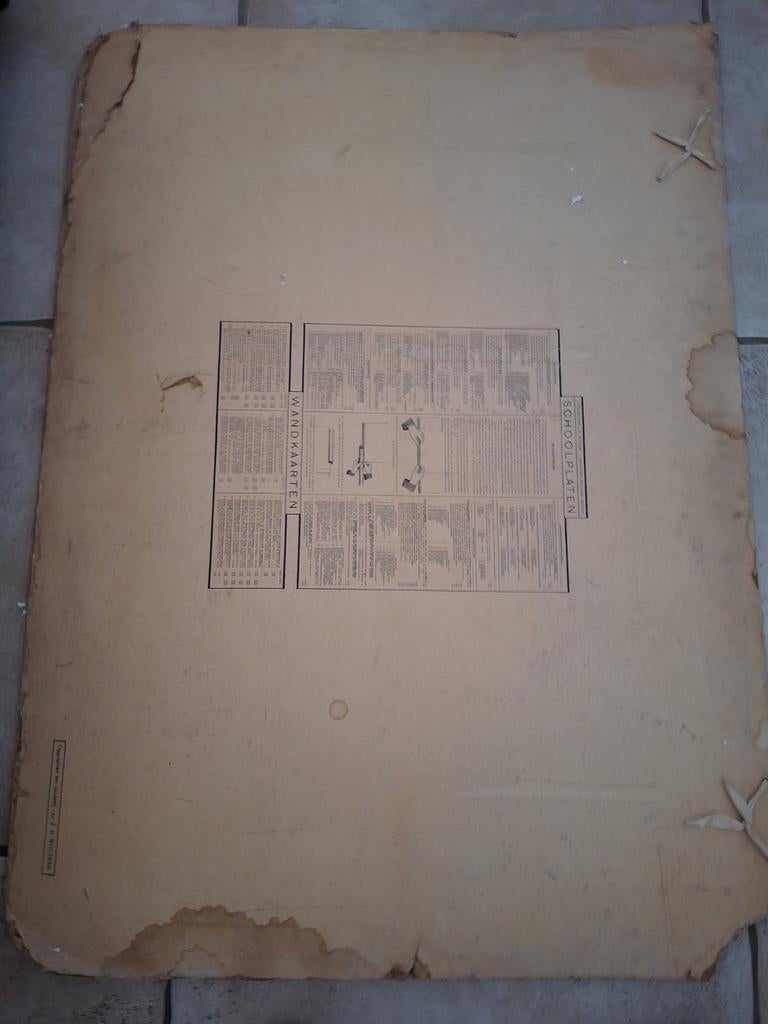 Oude Schoolplaat - Beschadigd, Antiek en Kunst, Antiek | Schoolplaten, Ophalen