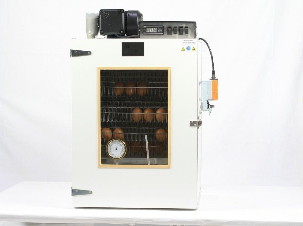 MS 50 Slaglatten broedmachine, Ophalen of Verzenden, Nieuw, Broedmachine