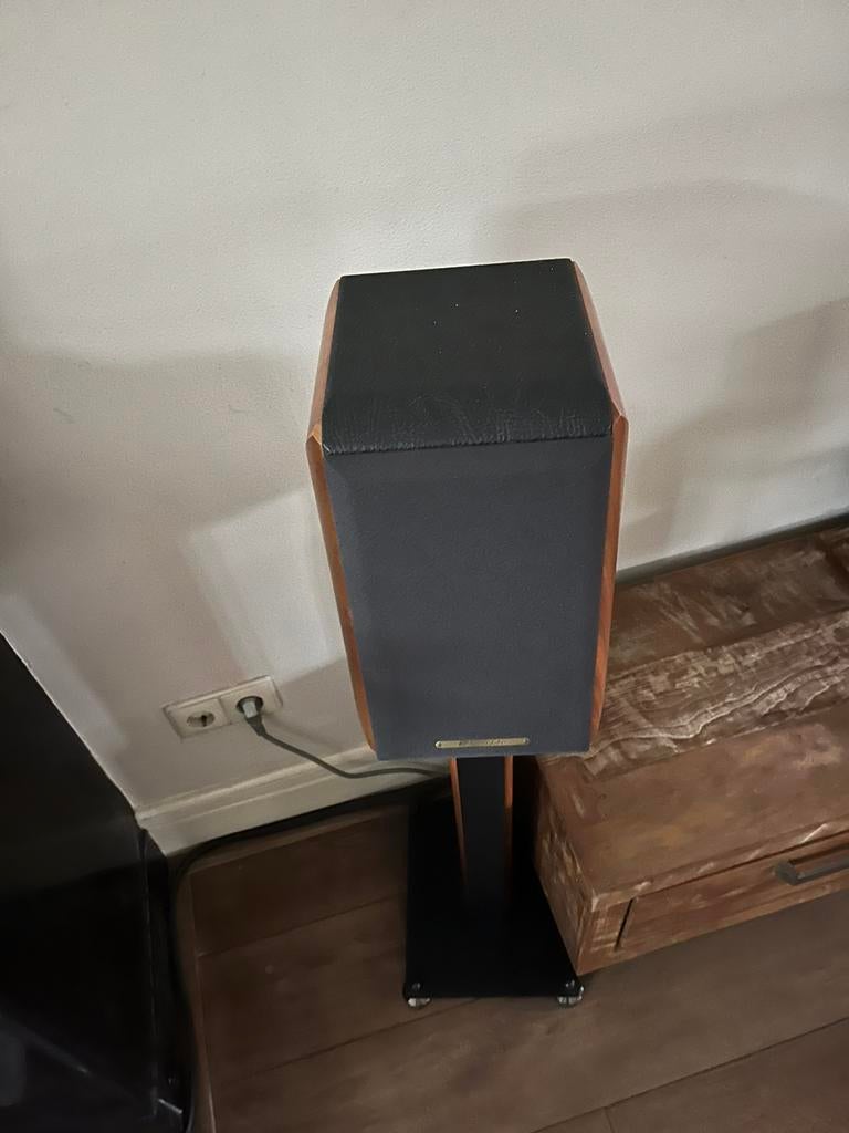 Sonus Faber Concertino, Zo goed als nieuw, 120 watt of meer, Front, Rear of Stereo speakers, Ophalen