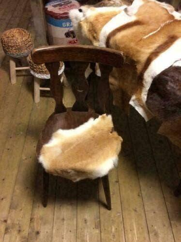 Konijnenvachten , konijnenvellen decoratie, dierenhuiden, Ophalen, Nieuw