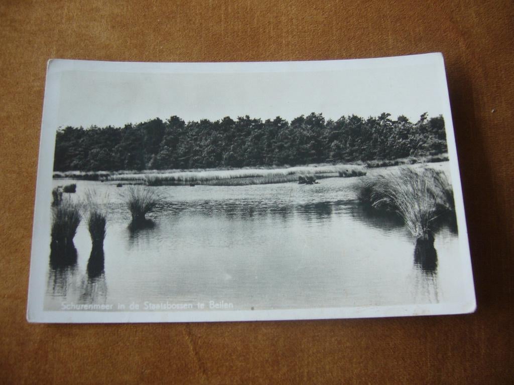 BEILEN  =  SCHURENMEER IN DE STAATSBOSSEN, Verzamelen, Ophalen of Verzenden, 1940 tot 1960, Gelopen