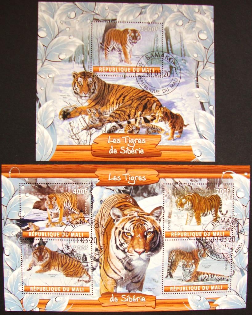 - 762 - 2 Blokken met Siberische Tijgers., Verzenden, Gestempeld, Dier of Natuur