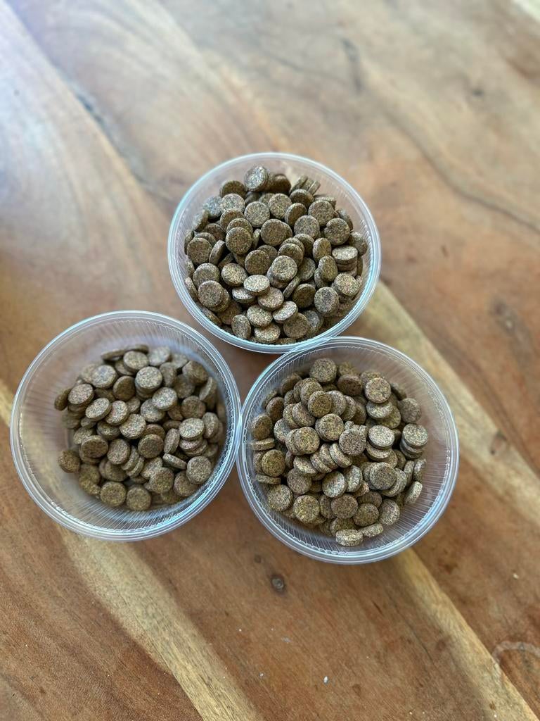 Vis en garnalenvoer, dierlijke tabletten, Dieren en Toebehoren, Vis