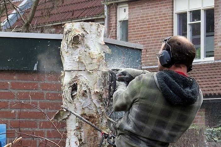 Gratis bomen kappen rooien