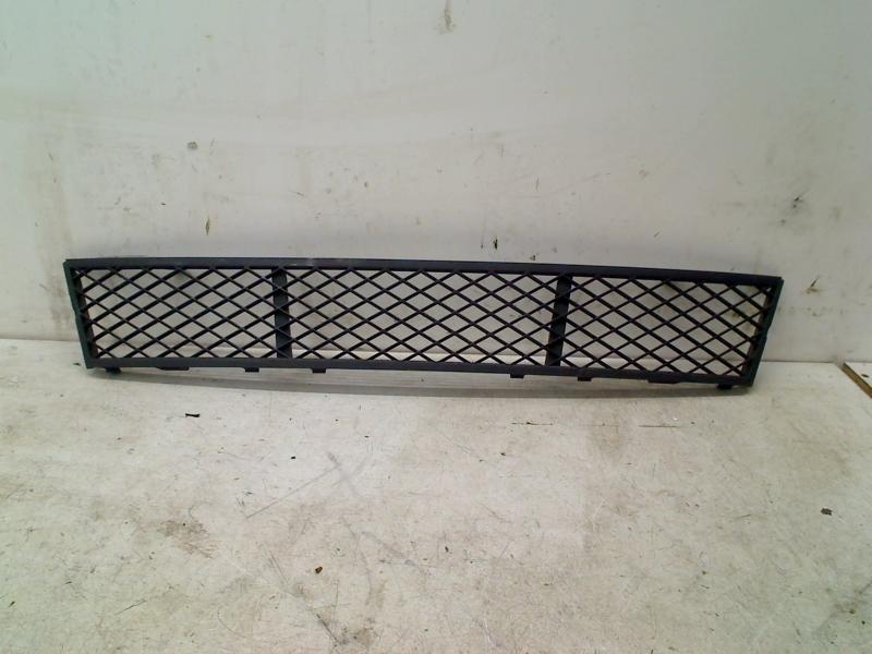 Grille midden onder BMW 5 serie (F10) (2010-01/2011-08), Gebruikt, Petuelring 130, München 80809, , Duitsland, BMW, Bayerische Motoren Werke AG