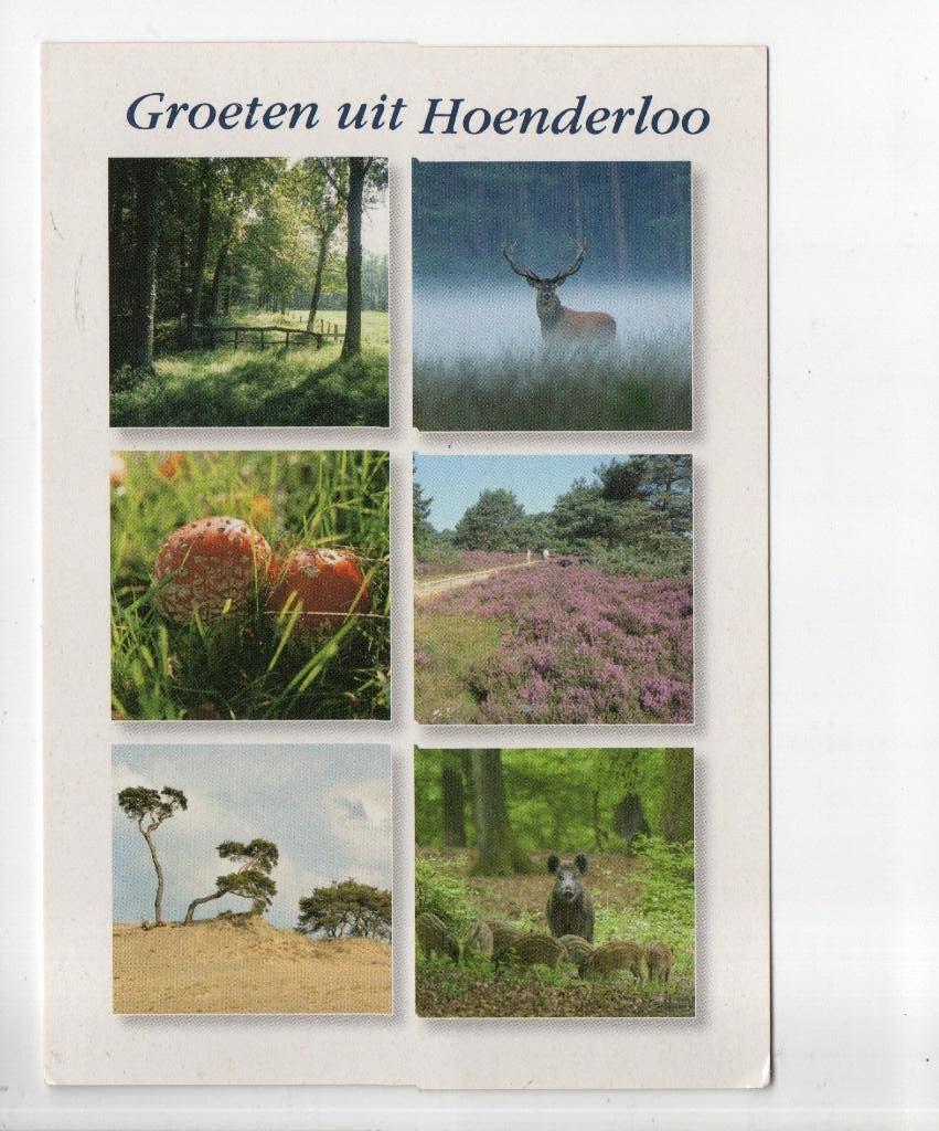 Groeten uit Hoenderloo, Ophalen of Verzenden, 1960 tot 1980, Gelopen, Gelderland
