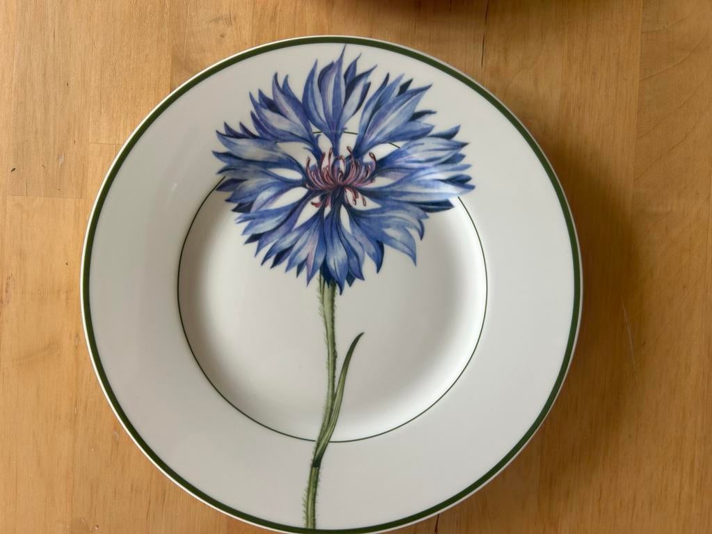 Villeroy en Boch borden, 22 cm, Flora, Ophalen of Verzenden, Zo goed als nieuw, Bord(en), Overige stijlen