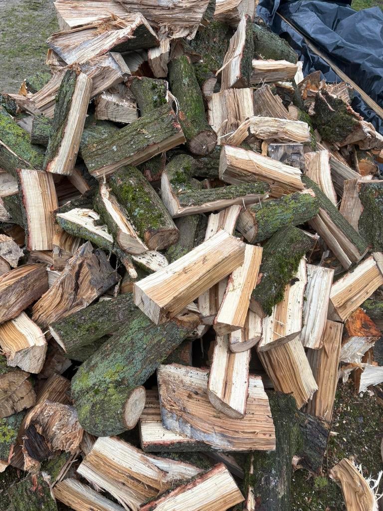 Brandhout, stookhout, haardhout, 6 m³ of meer, Ophalen of Verzenden, Overige houtsoorten