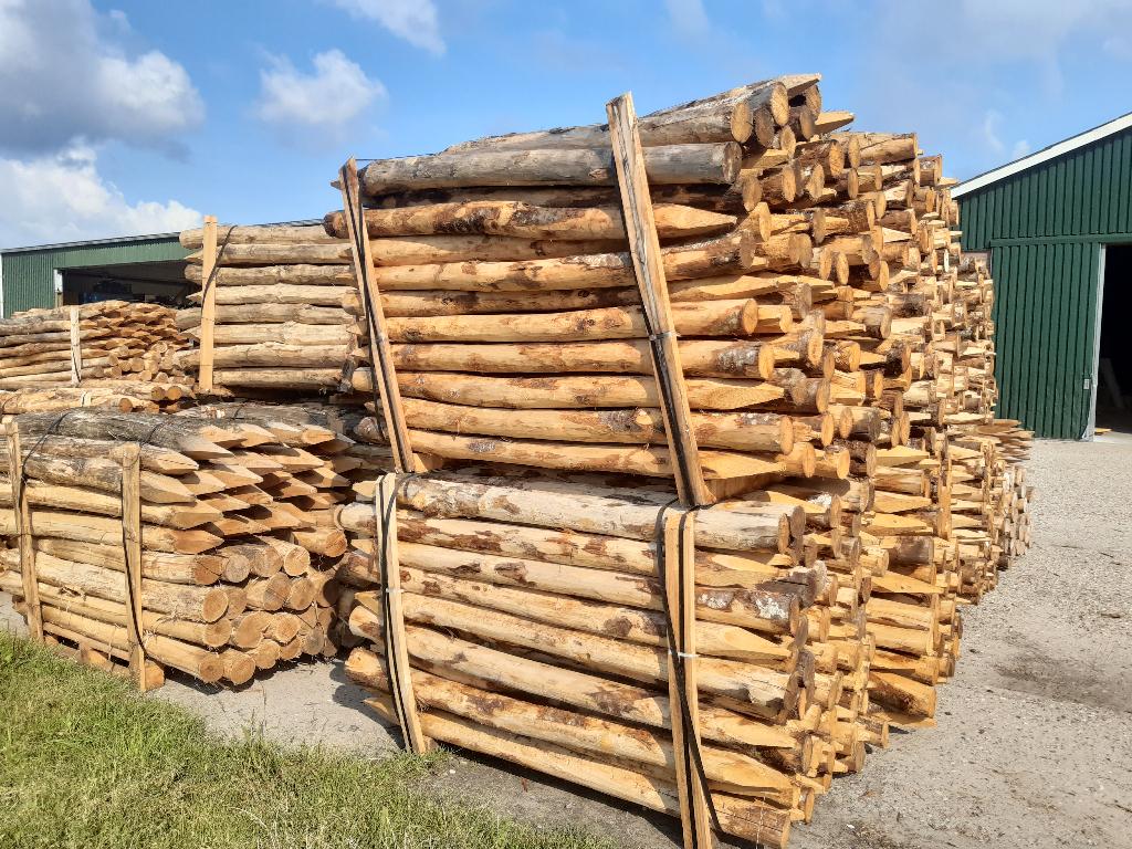 Kastanje houten, palenwand, pergola, schaduwdoek, tuin palen, Ophalen, Nieuw, 250 cm of meer, Palen