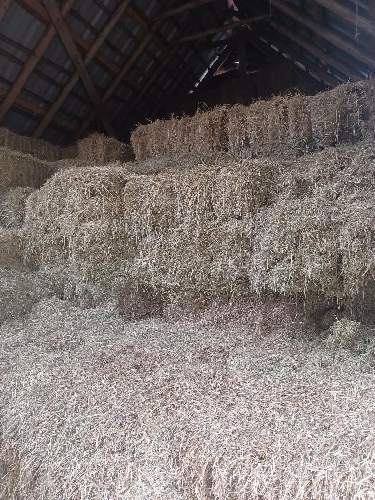 Hooi pakjes  mooi voer weidehooi, Dieren en Toebehoren, Ophalen, Vee