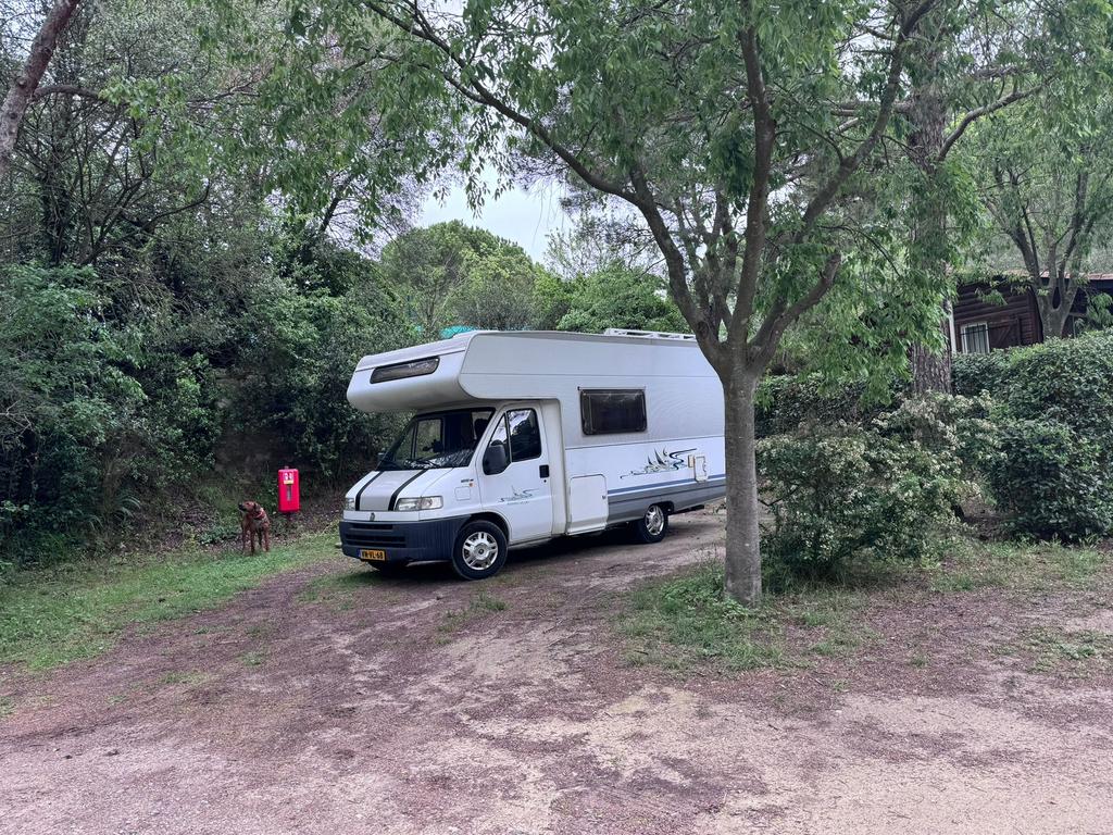 Nette betrouwbare Dethleffs Fiat Ducato 2.5 TDI.Alkoof A5830, Caravans en Kamperen, Campers, Koelkast, Alkoof, Ringverwarming