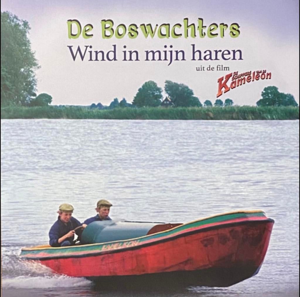 wind in mijn  haren gezocht, 6 singles of meer, Ophalen, Zo goed als nieuw